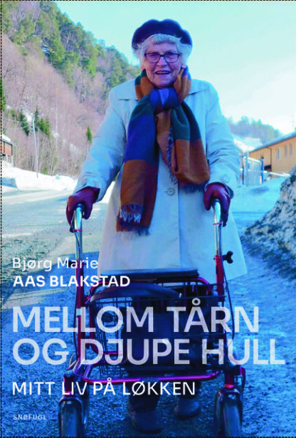 Bjørg Balstad - Mellom tårn og djupe hull
